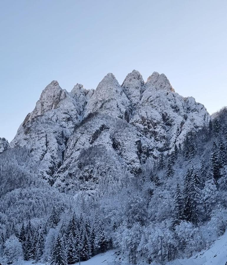 Alloggi Buon Riposo Tarvis Exterior foto